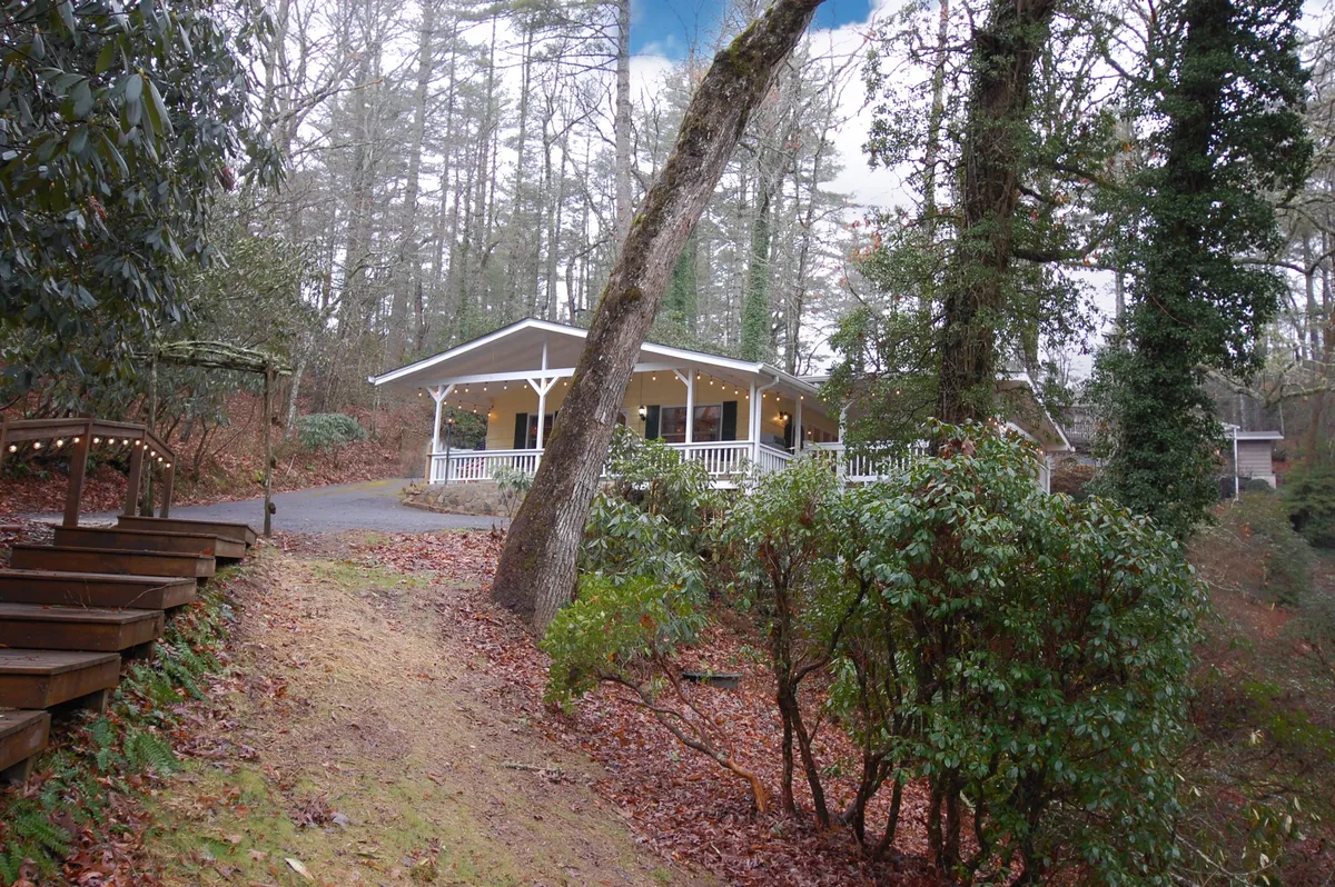 The image presents the home's exterior with a charming front porch, wooden steps, and lush greenery surrounding the house. The setting feels open, welcoming, and closely connected to nature, suggesting ample space for dogs and their owners to relax or play. The expansive lawn and porch area offer a perfect retreat for guests and their pets.